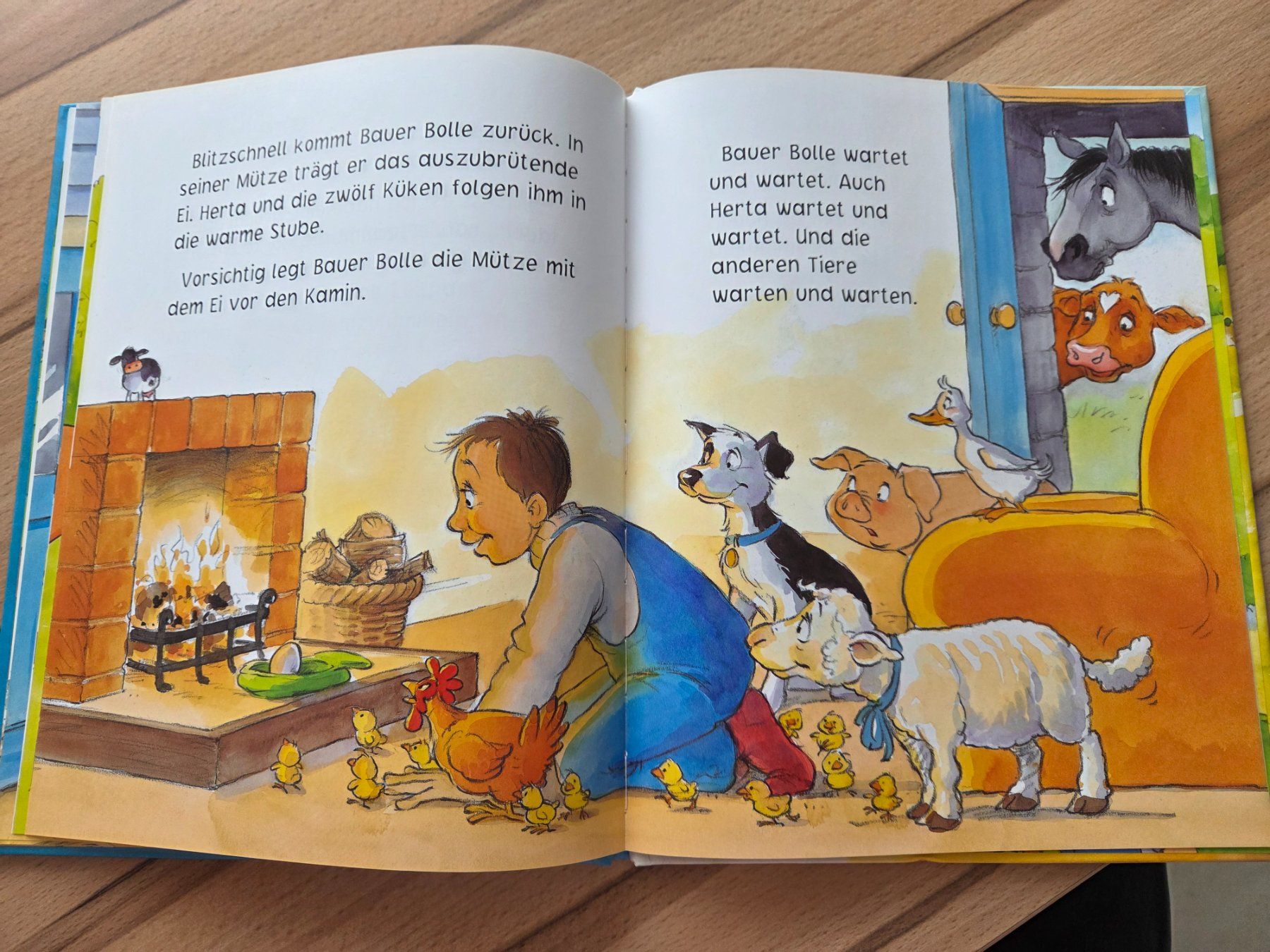 Livres: Das dreizehnte Ei – D'occasion à Grosswangen par sunny.stivi 6