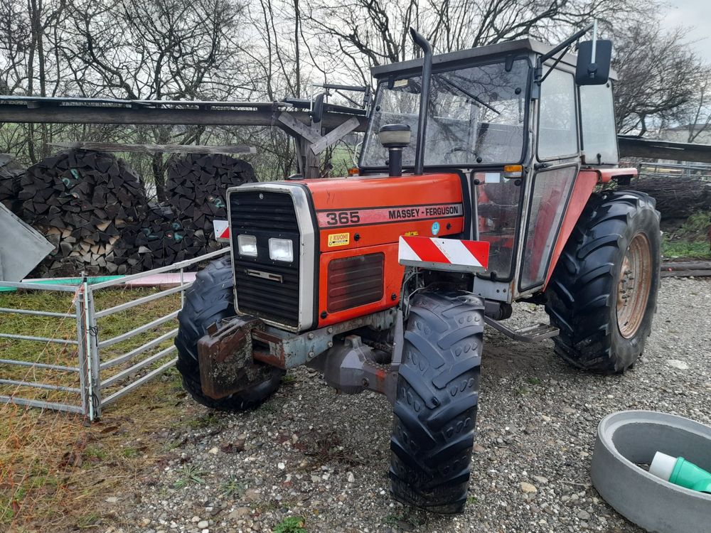 Traktor MF 365 (Gebraucht) in Gunzgen für CHF 8500 – nur Abholung auf ...