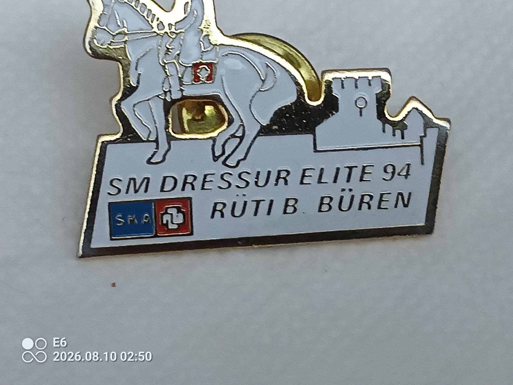 Placchette & Badge: Pin Dressurreiten – Nuovo (secondo la descrizione) da Zürich venduto da Mitzi6