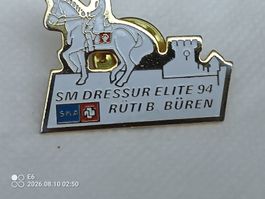 Pin Dressurreiten