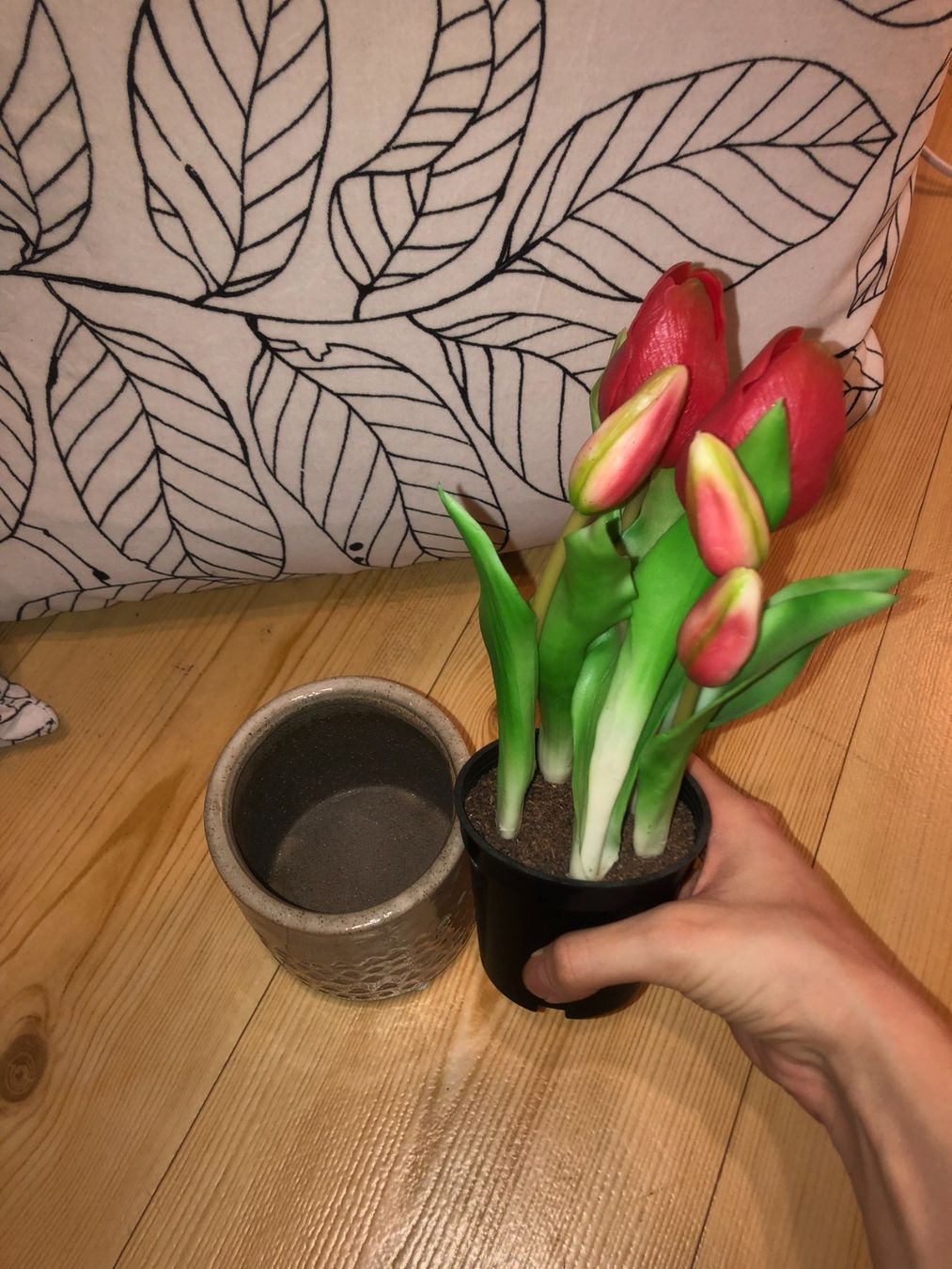 Piante & sementi: Fausses tulipes – Usato da Bulle venduto da sop_ct6x 1