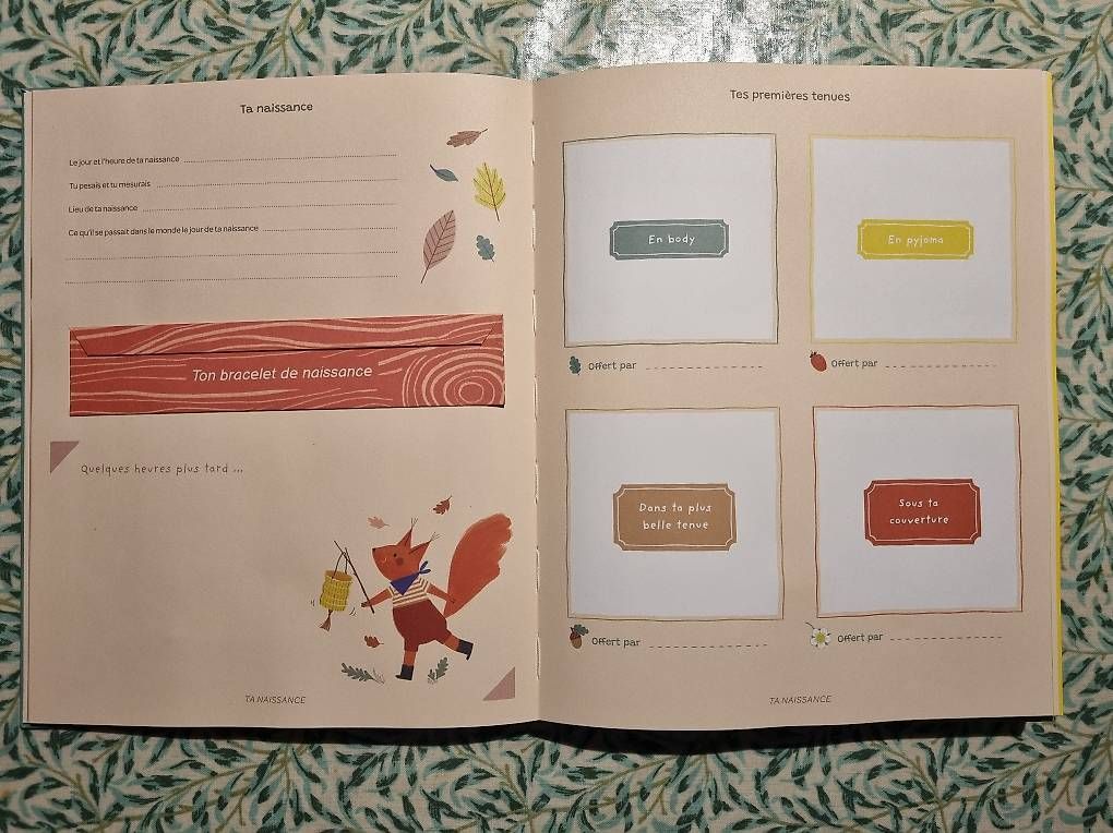 Libri: Livre de Naissance – Usato da Meikirch venduto da amsel016 1
