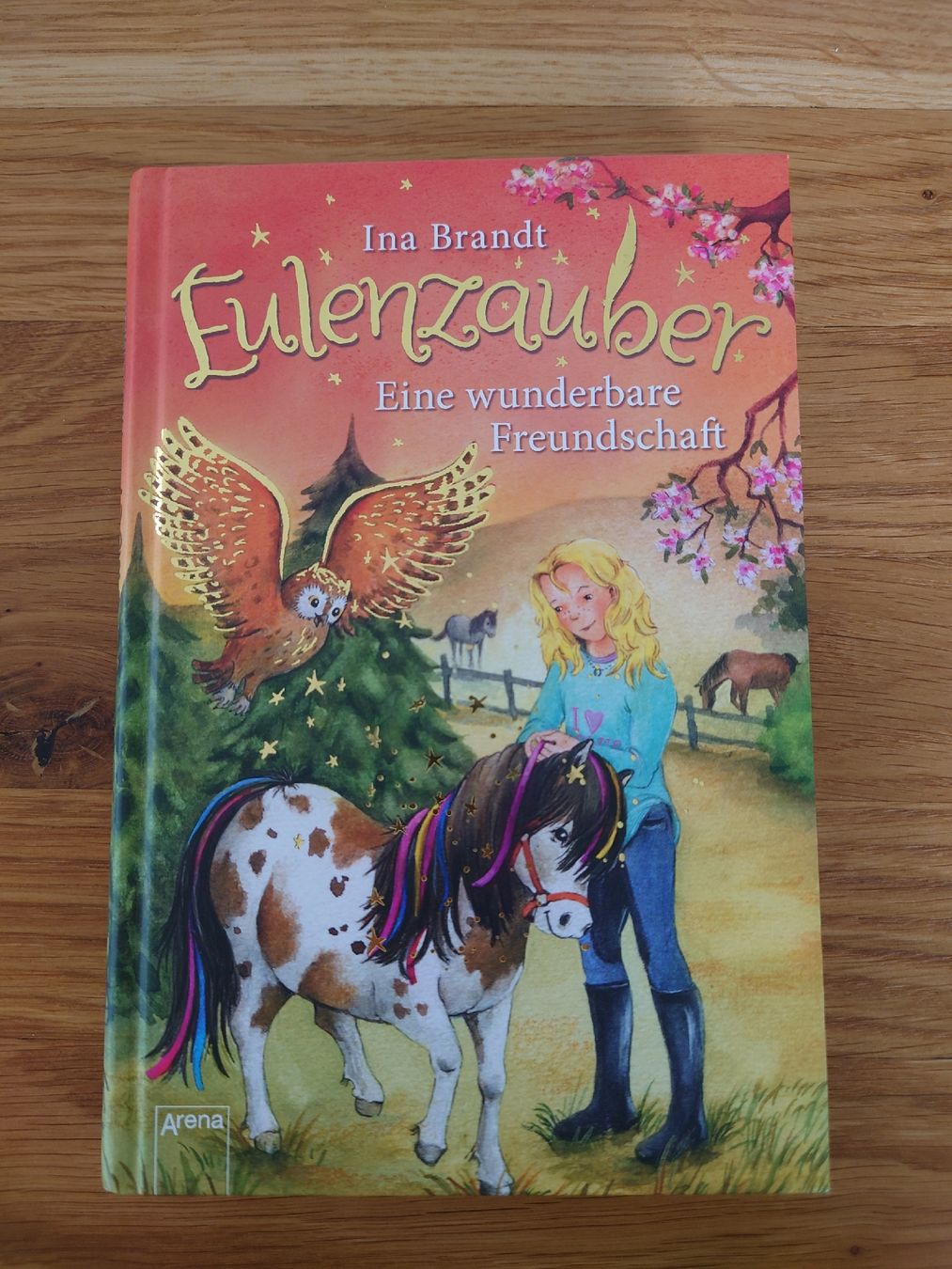 Livres: Kinderbücher Eulenzauber – D'occasion à Luzern par Timofej