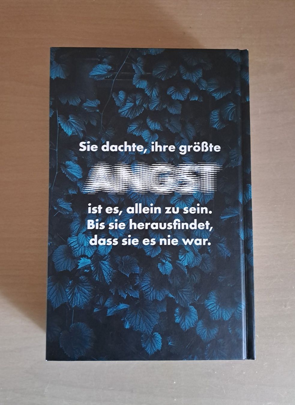 psychothriller-buch-sebastian-fitzek-der-nachbar-wie-neu-neu-gem-ss