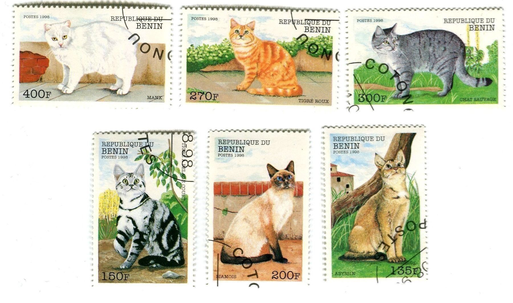 Tutti i francobolli: Briefmarken "Katzen". Benin. – Nuovo e nell'imballaggio originale da Basel venduto da Butsch5