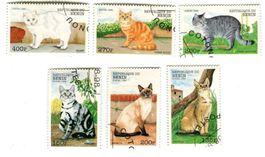 Briefmarken "Katzen". Benin.