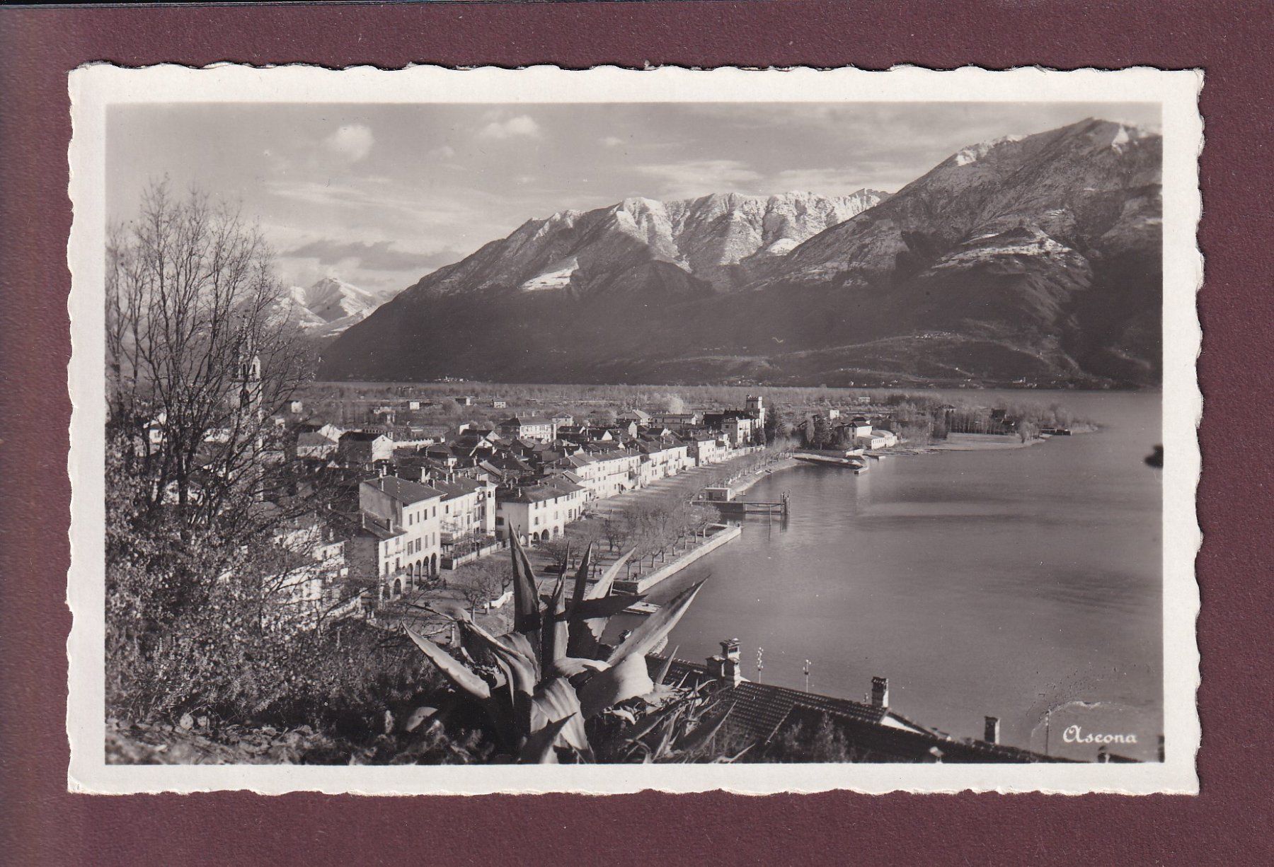 Cartes postales: ASCONA – D'occasion à Pully par nicecards