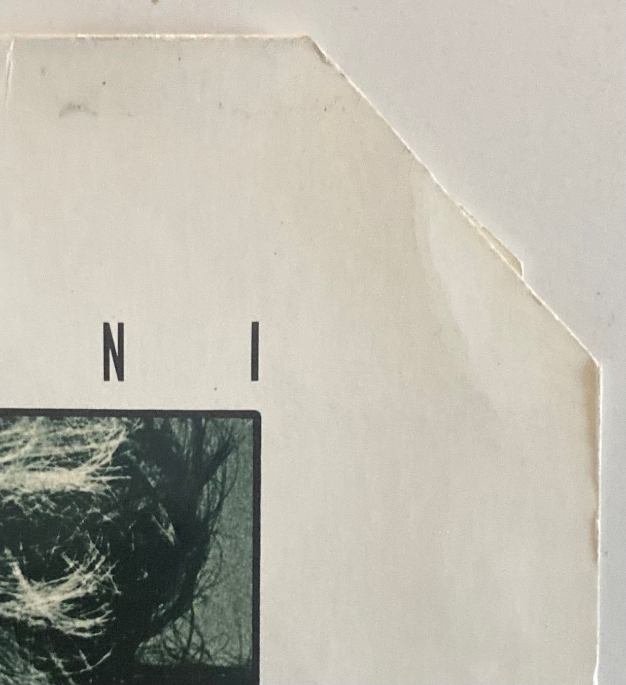Dischi in vinile: GIANNA NANNINI - LATIN LOVER – Usato da Poliez-Pittet venduto da Newtown-Records 4
