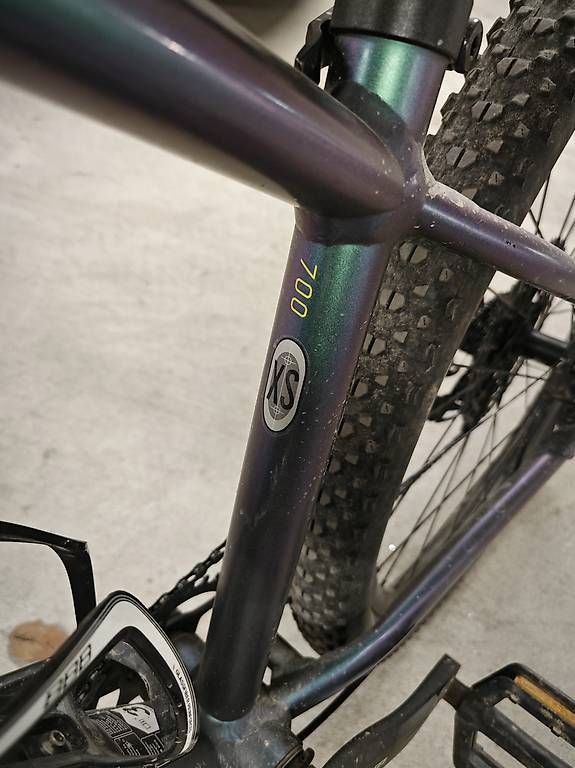 Scott Biciclette: Scott Scale 700 XS Mountainbike – Usato da Flims Dorf venduto da wurschtman 3