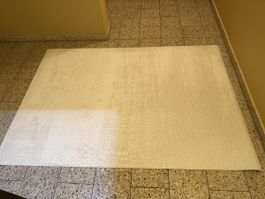 Neue Teppich Dolomit, 160x230cm, Stein Beige!
