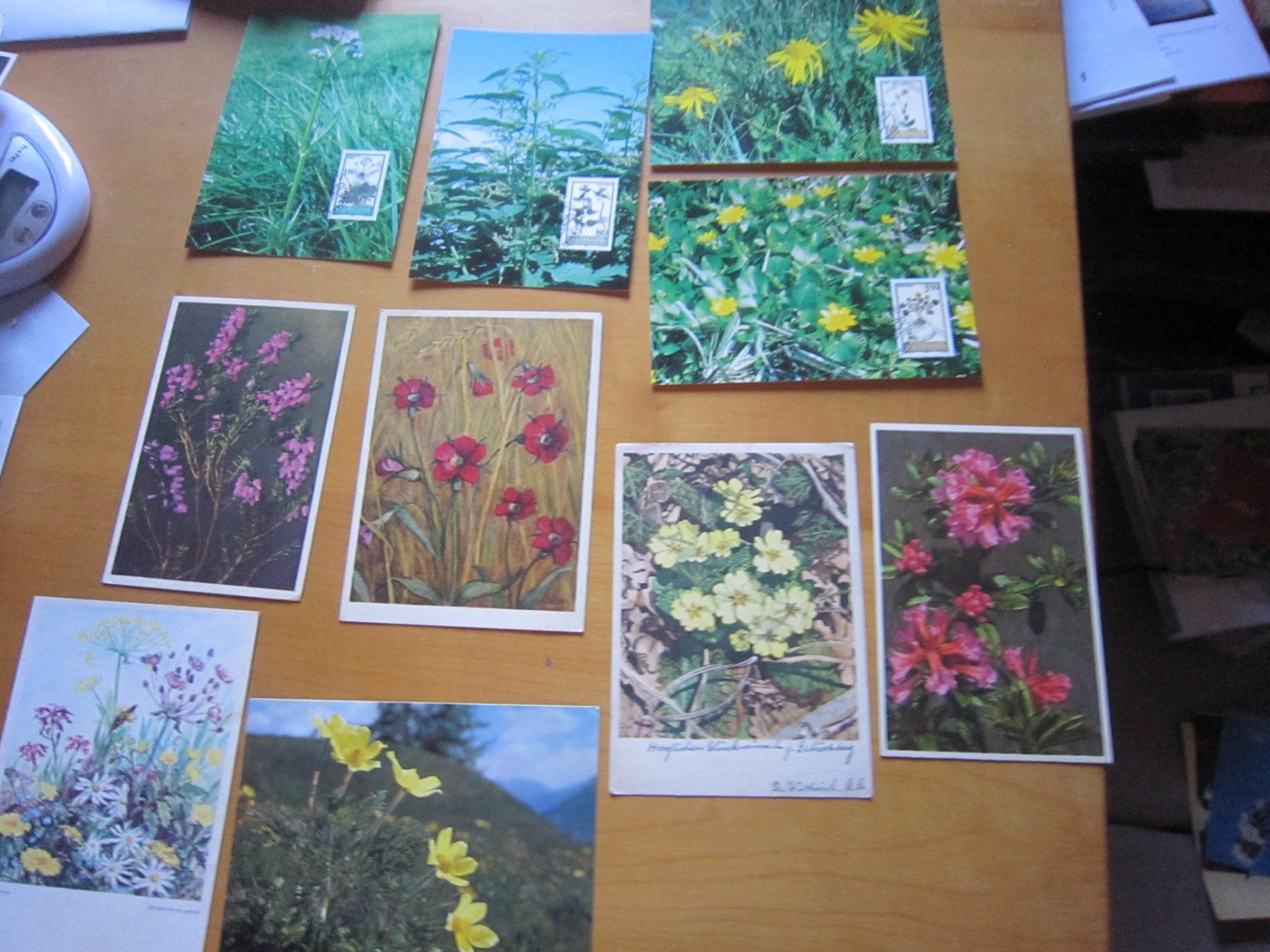 Ansichtskarten: No2 Postkarten Blumen – Gebraucht aus Gordola von Polentaefung