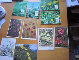 No2 Postkarten Blumen