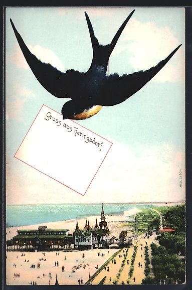 Cartoline postali: Schwalben-AK Heringsdorf / Seebad, Blick – Usato da Berlin venduto da bartko-reher