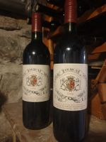 Château Fourcas-Hosten 1996, Listrac-Médoc