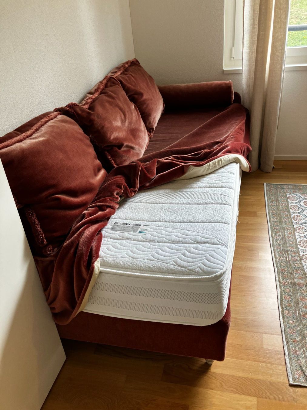 Divani: Wunderschönes Velours-Schlafsofa – Usato da Luzern venduto da sie_7nkr 5