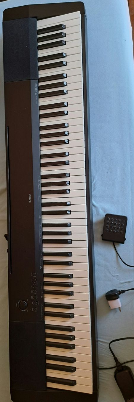 Casio Musikinstrumente: RÉSERVÉ, EN ATTENTE DE CONCLUSION Casio CDP-120 – Gebraucht aus Areuse von Areuse2015