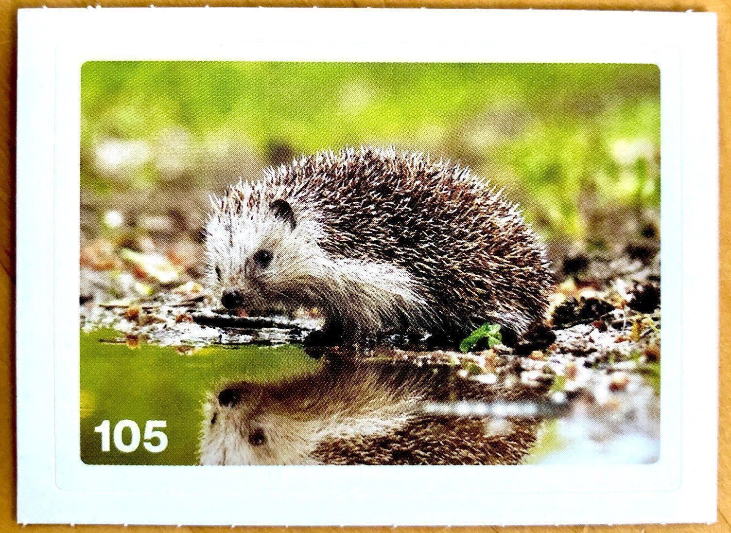 Migros Sammelbilder & Trading cards: Migros Nature Detectives - Bild Nr. 105 – Neu (gemäss Beschreibung) aus Oberrieden von Zimmerberg10