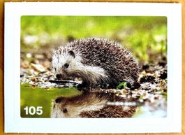 Migros Nature Detectives - Bild Nr. 105