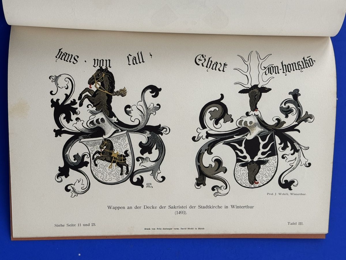Libri: Die Wappen in der Sakristei der Stadtkirche in Winterthur – Usato da Adliswil venduto da buch_und_kunst 4