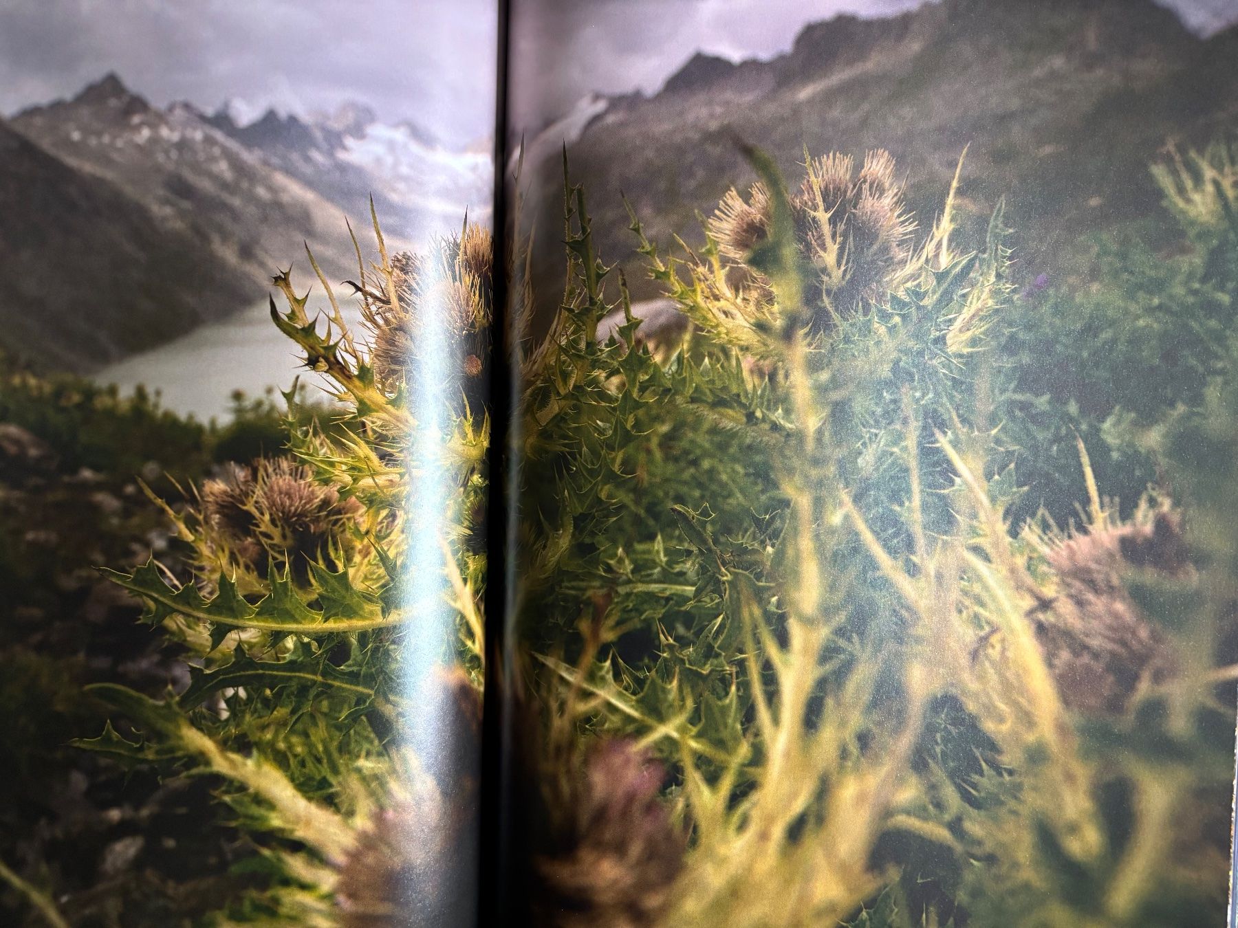 Libri: Switzerland Robert Bösch – Nuovo (secondo la descrizione) da Herrliberg venduto da Beatfc 3