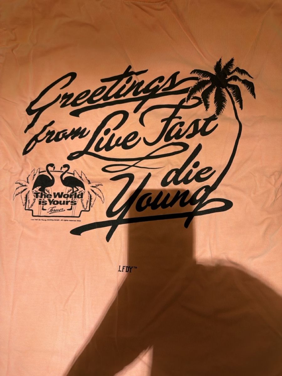 T-shirt: LFDY sommer Shirt 2024 – Nuovo (secondo la descrizione) da Zwingen venduto da M.Krichel_18 1
