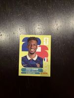 Panini Coman