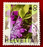 Nr.1074 Gemeines Flora,Immmergrün GESTEMPELT 2003    