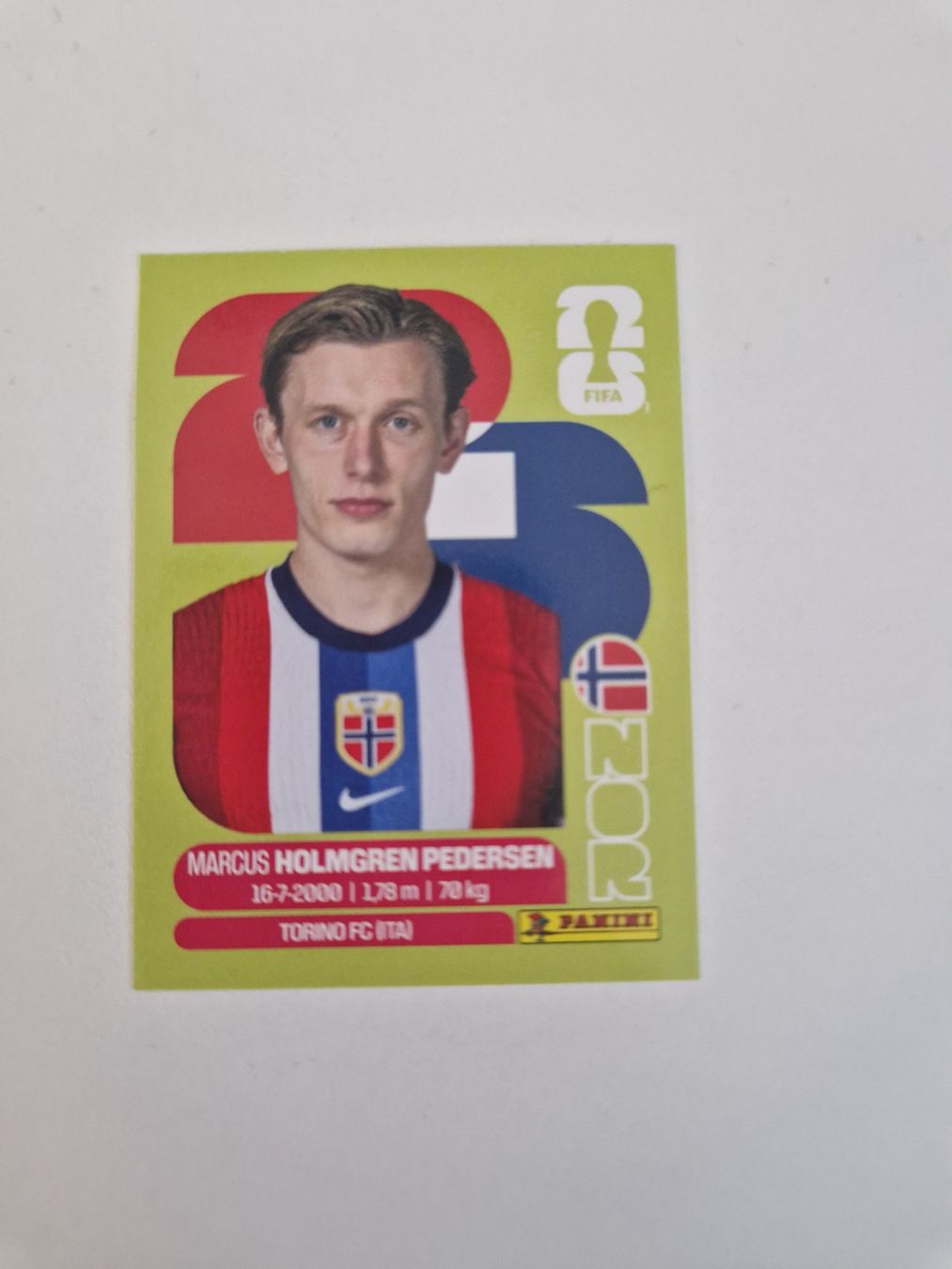Panini Carte collezionabili: Panini Sticker NOR6 – Nuovo (secondo la descrizione) da Stüsslingen venduto da white_angel86