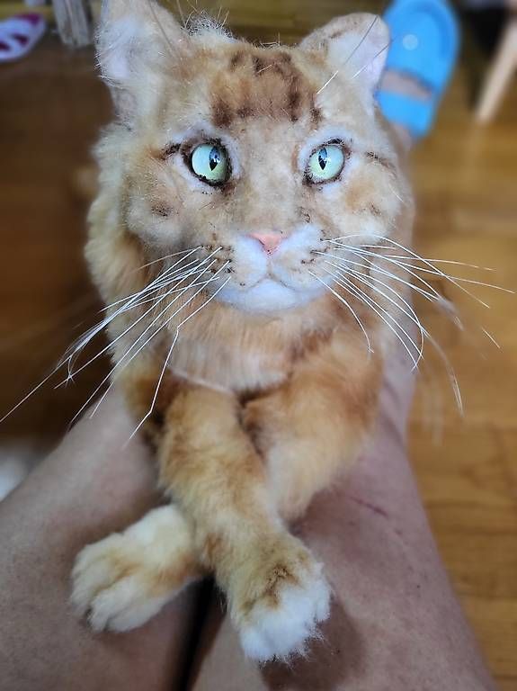 Statuette: Wunderschöne Plüsch Katze 50cm – Usato da Reigoldswil venduto da Paola_87