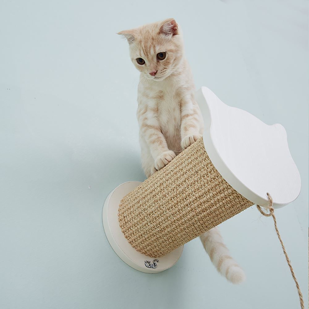Kletterausrüstungen: CatS Design Katzen Kletterwand Set – Neu und originalverpackt aus Mönchengladbach von Zoopplier 5