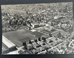 Flugaufnahme Reinach AG