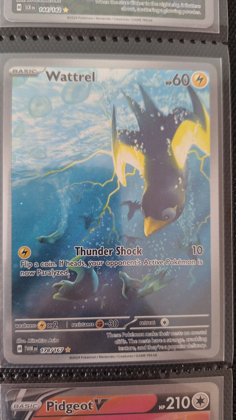 Pokémon Carte collezionabili: Wattrel - Illustration Rare – Usato da Altstätten SG venduto da GGsGameshop
