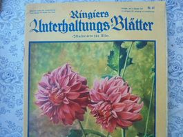 Ringiers Unterhaltungs-Blätter Nr. 41, 1937, Sommerliche ...