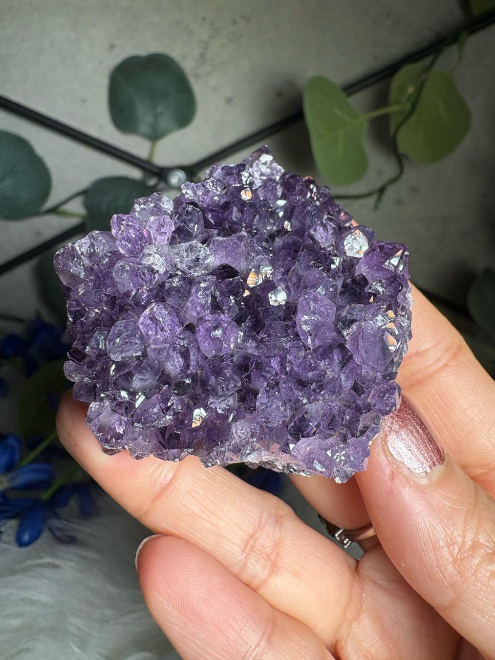 Edelsteine: Uruguay Amethyst – Super High Quality – Neu (gemäss Beschreibung) aus Neuheim von m.hald 1