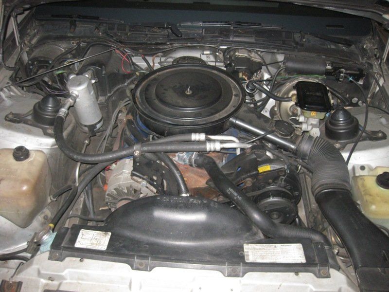 Chevrolet Automobili: Chevrolet Camaro Z28 E – Usato da Mur (Vully) VD venduto da TAD327 4