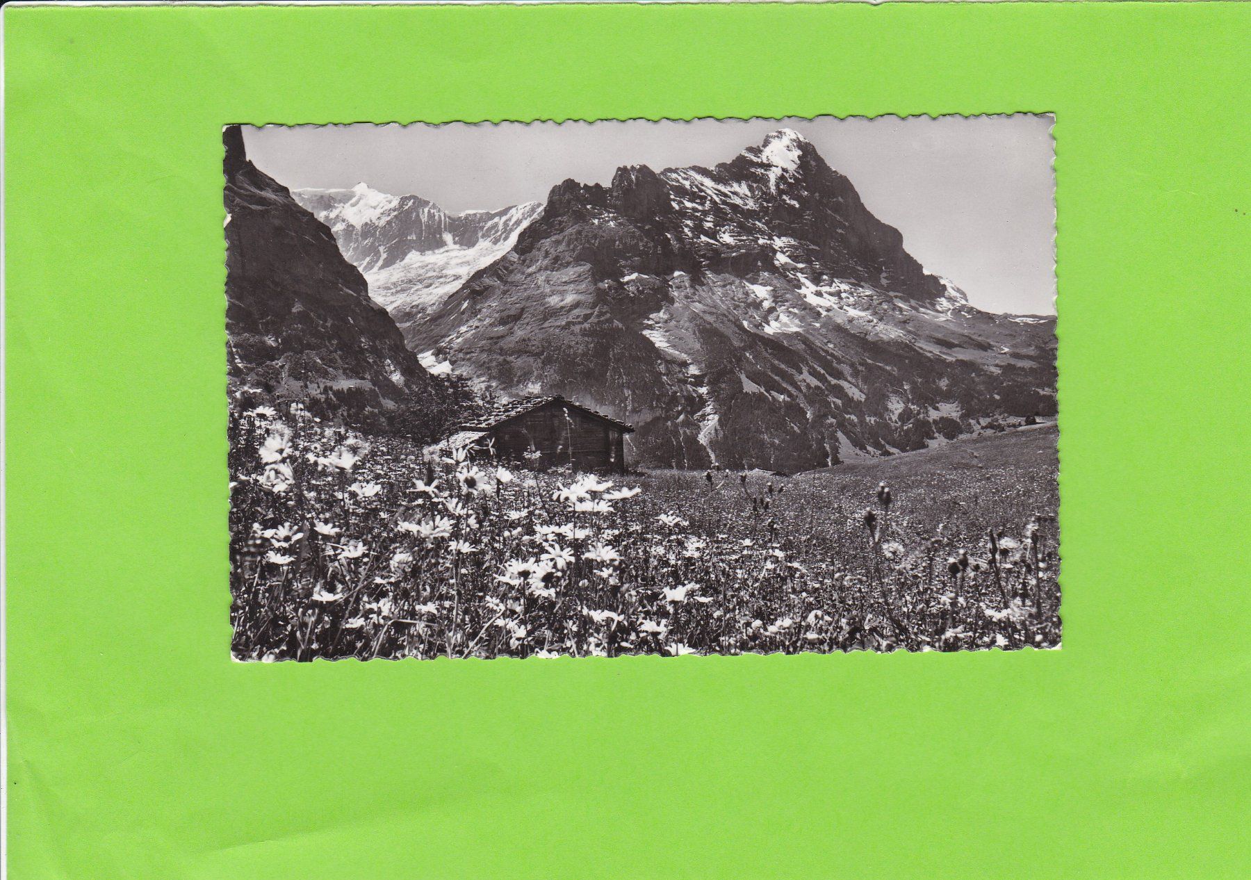 Ansichtskarten: Grindelwald-Fiescherhorn und Eiger – Gebraucht aus St. Peterzell von neckertal