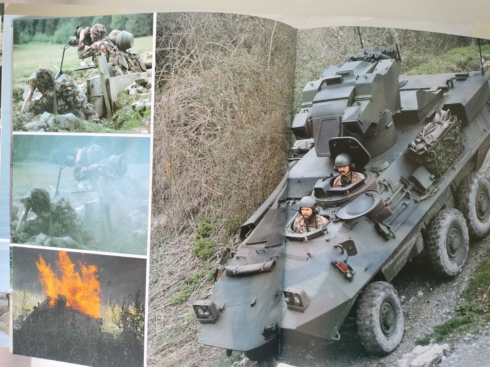 Libri: Schweizer Armee Militär Buch – Usato da Schwanden Sigrisw venduto da cadieux71 9