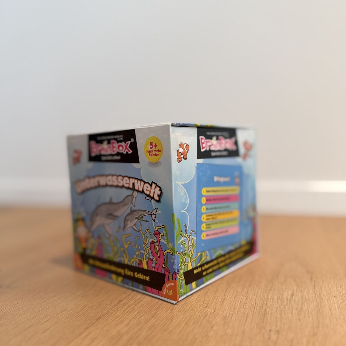 Giochi: Brainbox Unterwasserwelt – Nuovo (secondo la descrizione) da Allenwinden venduto da roseca