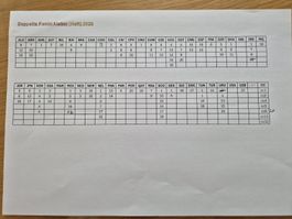 Panini WM 2026 #siehe Text#