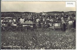 Emmenbrücke und Gerliswil  - Generalansicht