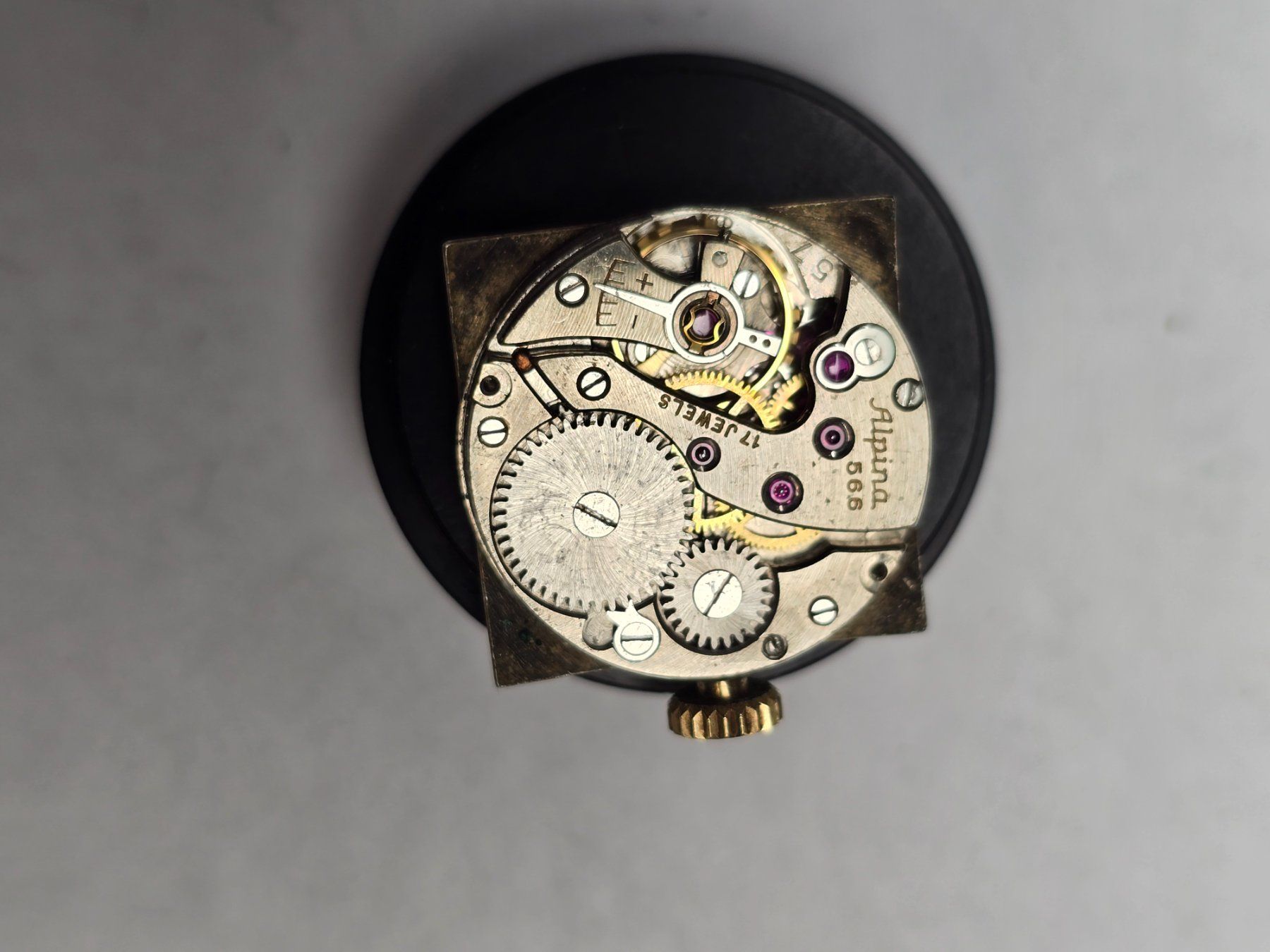 Alpina Orologi: Mouvement Alpina 566 – Usato da Tramelan venduto da Nirdan 3