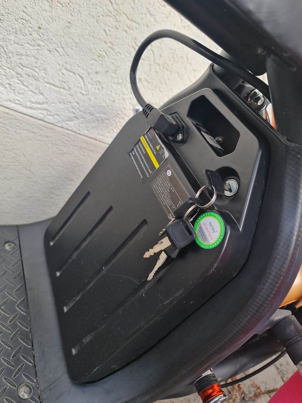 Citycoco Scooter: E-Roller (Citycoco) – Usato da Boswil venduto da baz_2gf7 4