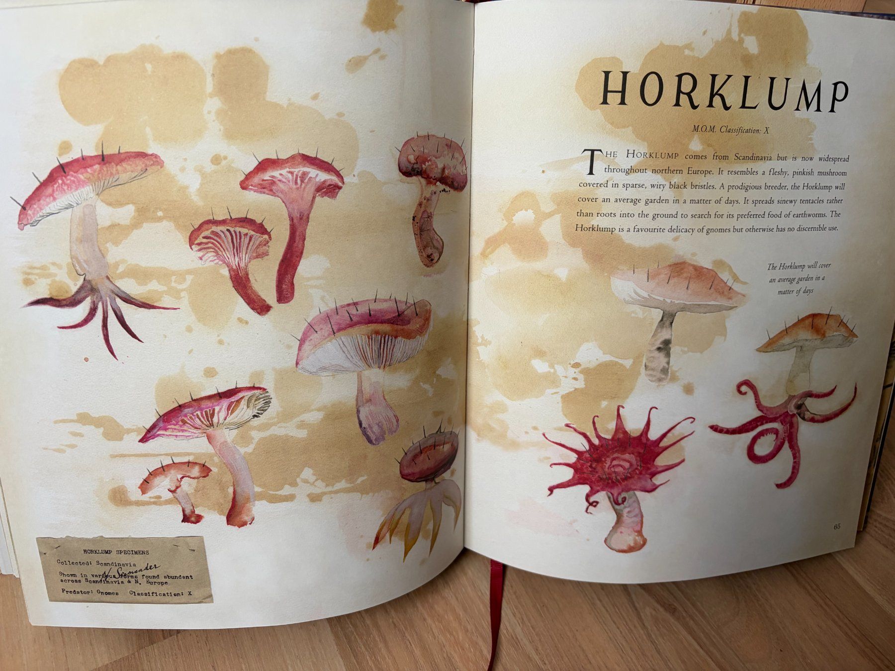 Libri: Fantastic Beasts & Where to Find Them - Illustrated/Hardback – Nuovo (secondo la descrizione) da Lausanne venduto da eeplank 2