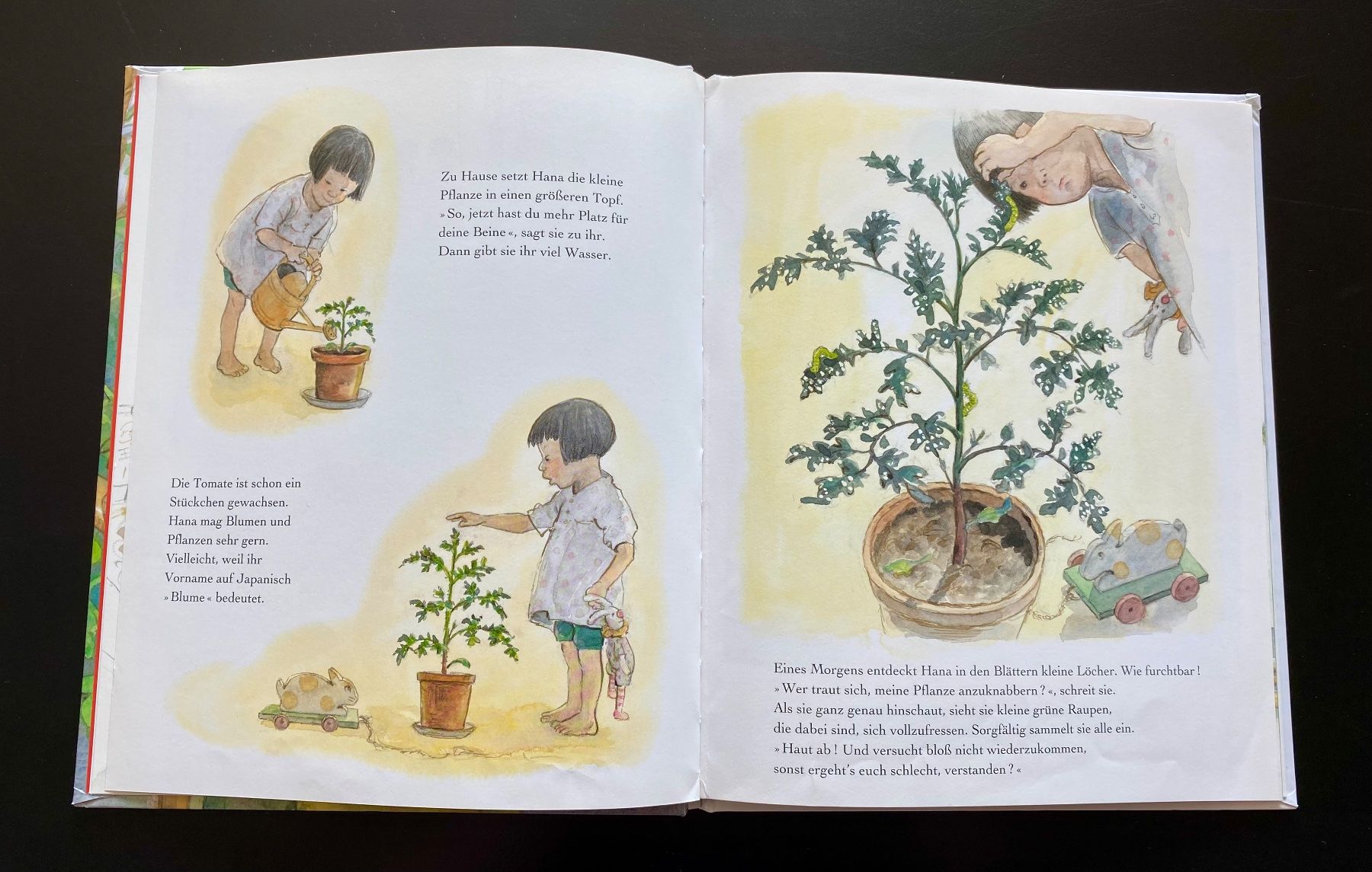 Libri: Das Tomatenfest – Usato da Nussbaumen AG venduto da schuba2000 3