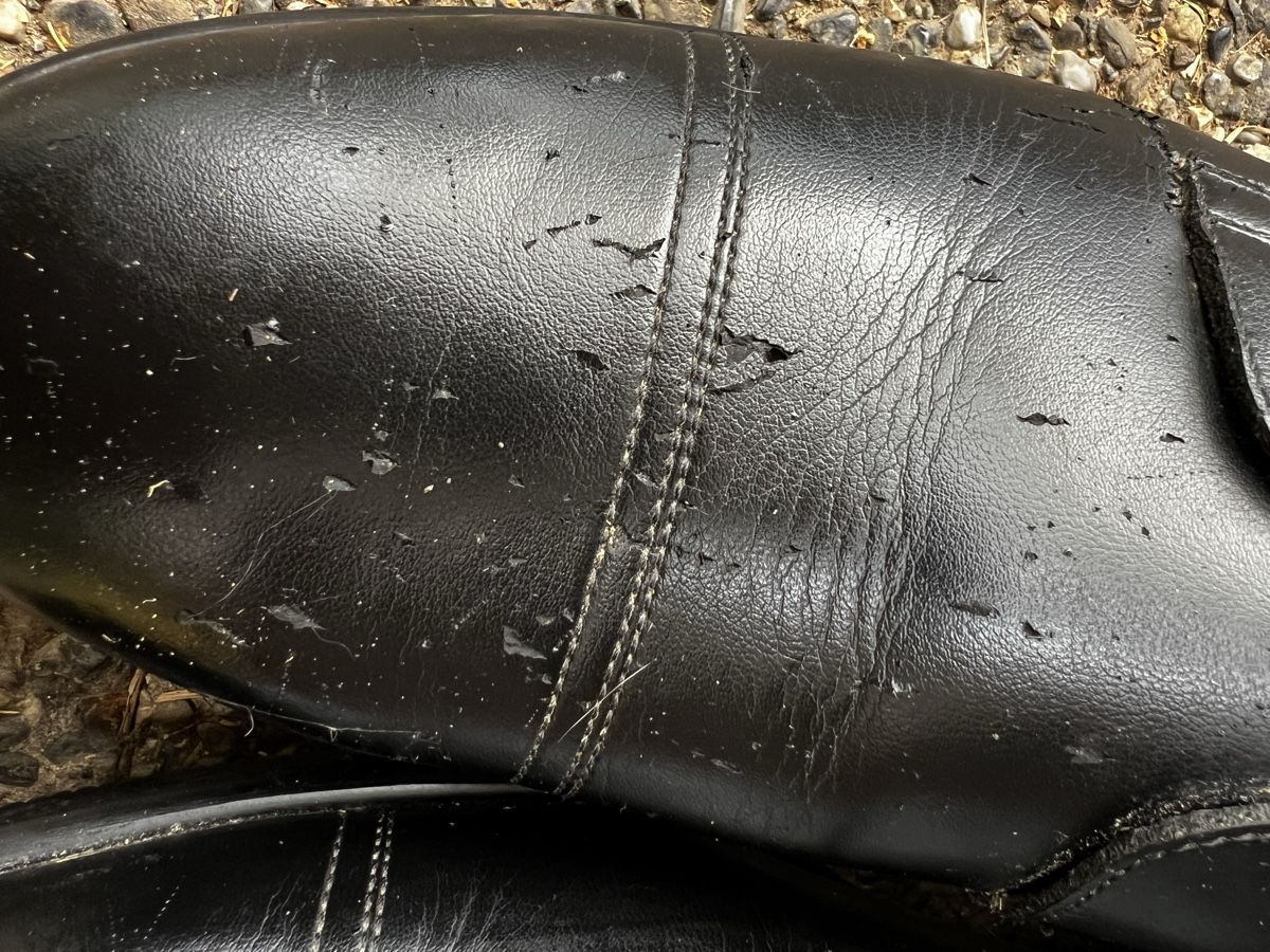 Chaussures hommes: Reitstiefel Petrie – Neuf (Voir description) à Wangen ZH par binchen24 4