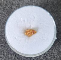 Goldnugget aus Canada