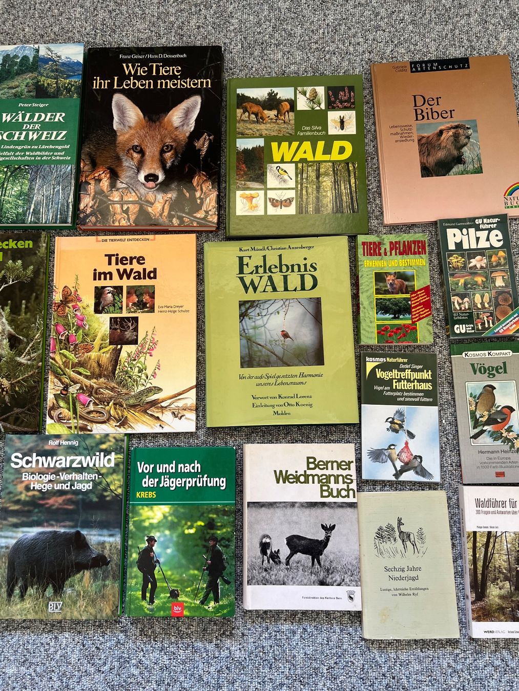 Libri: Bücher / Natur / Tiere / Jagd – Usato da aarwangen venduto da Butzi99 3