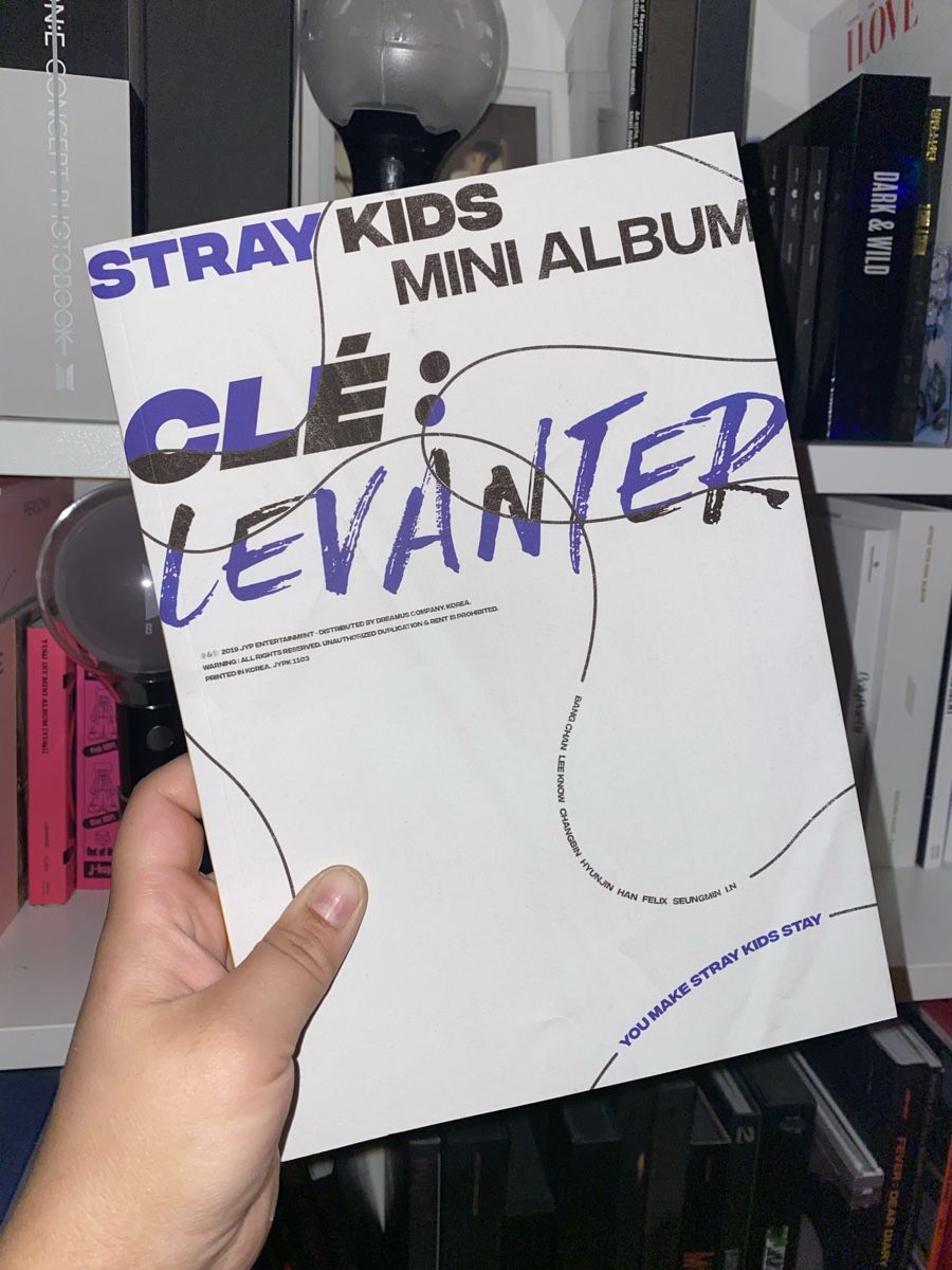 CD: Stray Kids Album Set – Usato da Pieterlen venduto da Mondbuchzauber_rkive