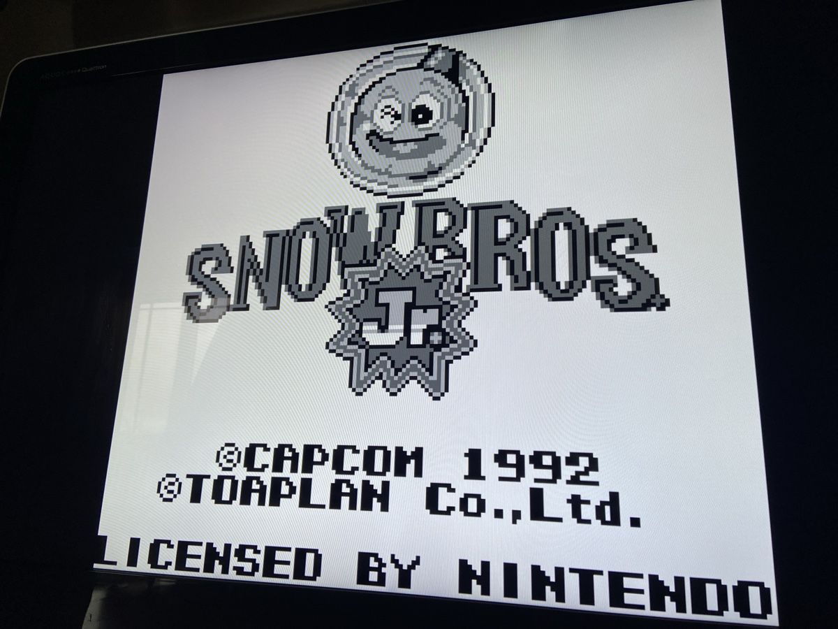 Nintendo Giochi: Capcom Snow Bros Jr. - Nintendo Gameboy Game – Usato da Frauenfeld venduto da golfdude 1