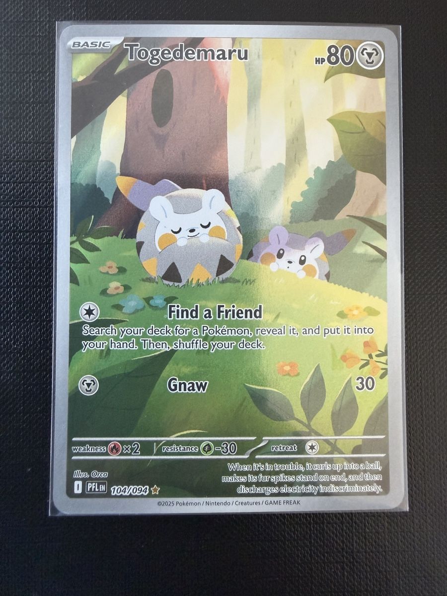 Pokémon Carte collezionabili: Togedemaru #104 PFL EN – Nuovo (secondo la descrizione) da Savigny venduto da Matgab94